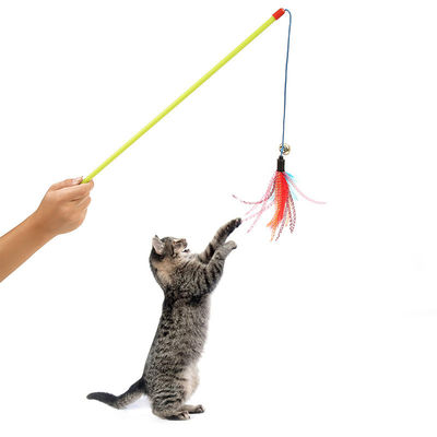 Plastic 1kg Cat Toys M Size 49.3cm Pet Tease