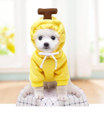 Autumn And Winter Cotton Plush Hooded Sweater For Pet