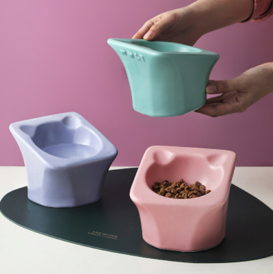Elevated Food Water Slow Feeder Bowls Ceramic Raised Tilted
