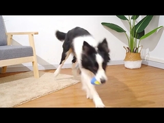 Dog'S Tooth Grinding Rubber Avocado Pet Chew Toys Leakage Resistant